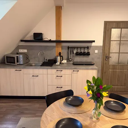 Apartmany Na Mlyne Nove Mesto na Morave Pokoj fotografie